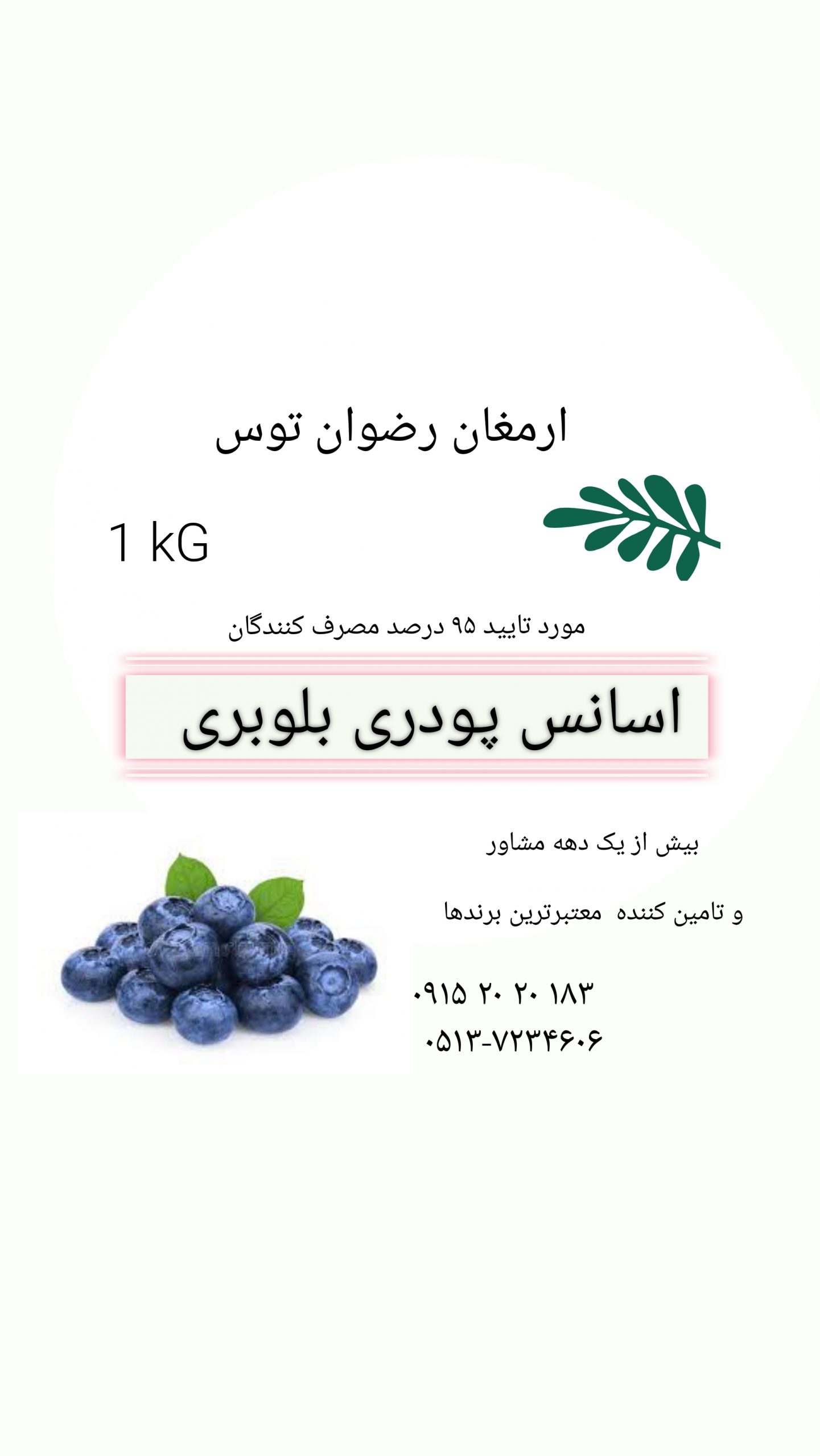 اسانس بلوبری پودری خوراکی