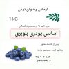 اسانس بلوبری پودری خوراکی مورد تایید 90 درصد مصرف کنندگان جهت مصارف پودر ژله و… 09152020183 و 05137234606 ارمغان رضوان توس
