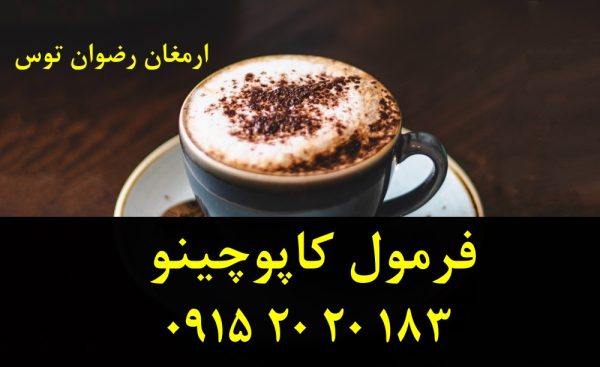 فرمولاسیون کاپوچینو با کف حرفه ای خامه ای قابل تنظیم برای کافه ها و کافی شاپ ها