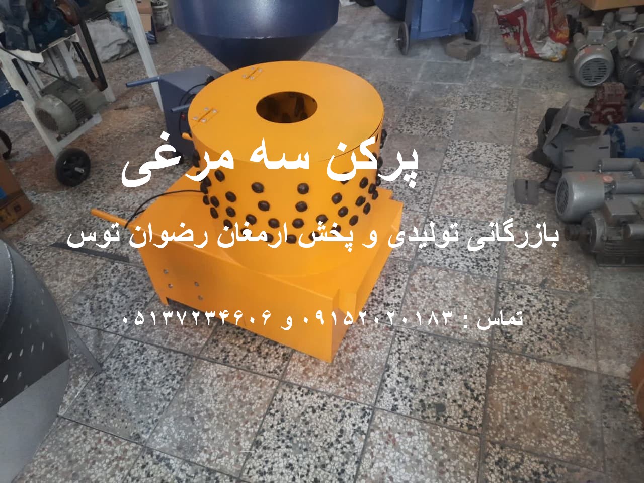 پر کن مرغ سه مرغی