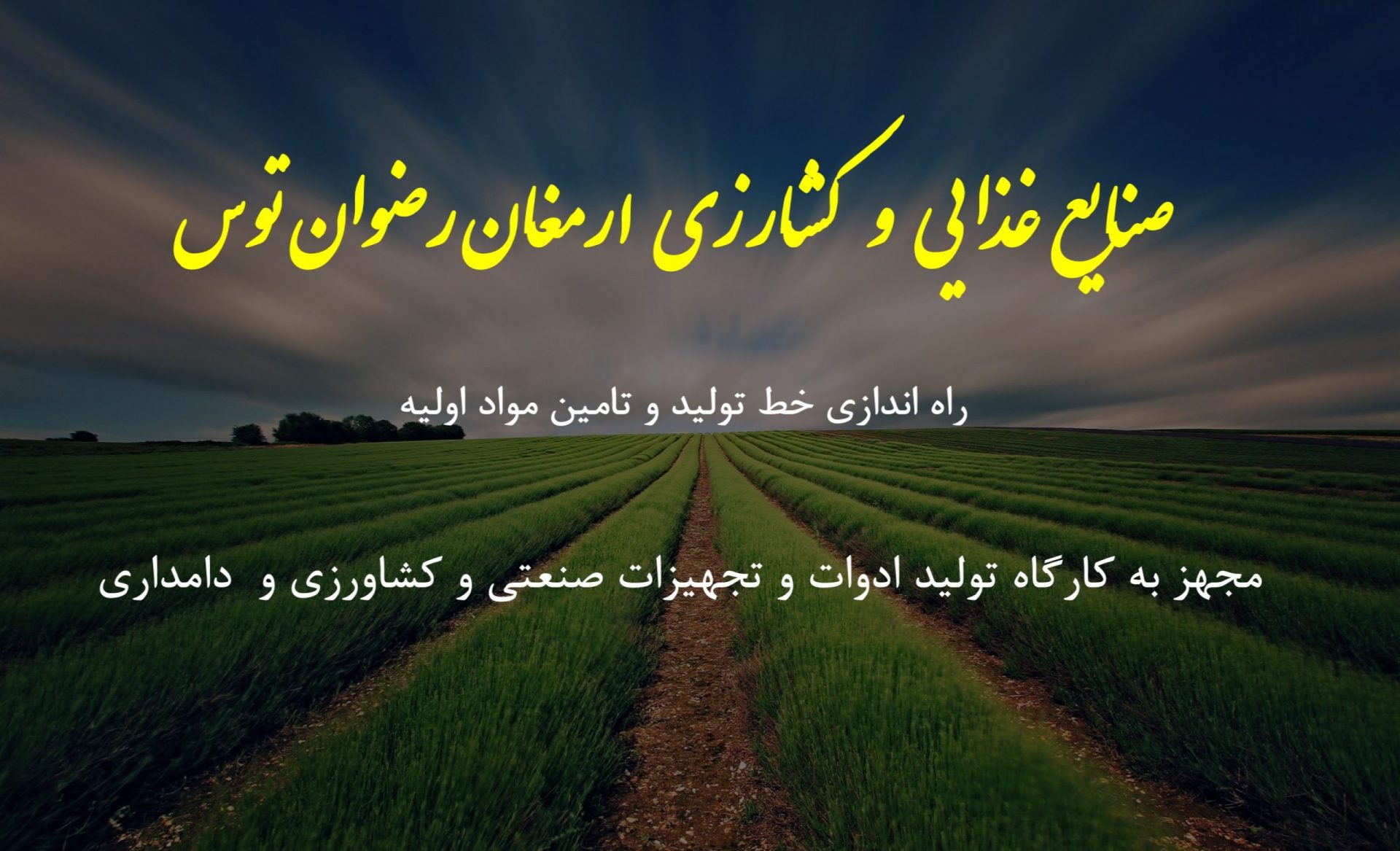 راه اندازی بیکینگ پودر افغانستان