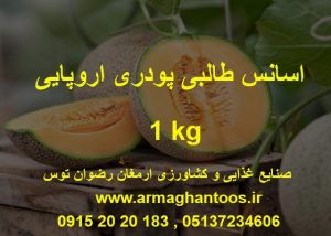 اسانس طالبی اروپایی 1 کیلویی اسانس پودری حلال در آب مخصوص پودر شربت ، پودر ژله ، شربت آماده ارمغان رضوان توس 09152020183 و 05137234606