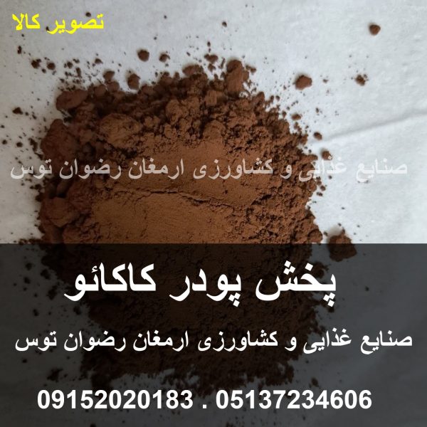 پخش پودر کاکائو کیسه ای 25 کیلویی دارای کیفیت بسیار بالا عطر طعم مطلوب صنایع غذایی و کشاورزی ارمغان رضوان توس 09152020183 و 05137234606 تماس حاصل فرمایید .