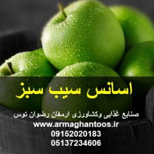 اسانس سیب سبز پودری خوراکی مورد تایید 90 درصد مصرف کنندگان جهت مصارف پودر ژله و… 09152020183 و 05137234606 ارمغان رضوان توس