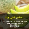 اسانس طالبی لوکتا پودری حلال جهت مصارف خوراکی و آرایشی بهداشتی صنایع غذایی و کشاورزی ارمغان رضوان توس 09152020183 و 05137234606