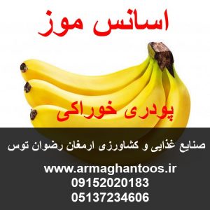 اسانس موز پودری حلال در آب جهت مصارف پودر ژله و پودر کیک و آرایشی بهداشتی صنایع غذایی و کشاورزی ارمغان رضوان توس 09152020183 و 05137234606