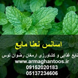 اسانس نعنا مایع مایع حلال جهت مصارف خوراکی و آرایشی بهداشتی صنایع غذایی و کشاورزی ارمغان رضوان توس 09152020183 و 05137234606