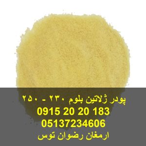 پودر ژلاتین بلوم 230 - 250 خوراکی حلال جهت مصارف قنادی و صنایع غذایی جهت مشاوره و خرید همه روزه از ساعت 8 الی 24 با شماره 09152020183