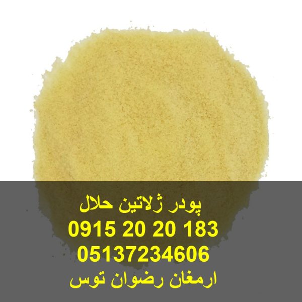 پودر ژلاتین حلال 230 خوراکی بلوم 230 - 260 مورد تایید 85 درصد مصرف کنندگان شفاف بدون بو نامطلوب ژلاتین درجه یک مخصوص پودر ژله 09152020183